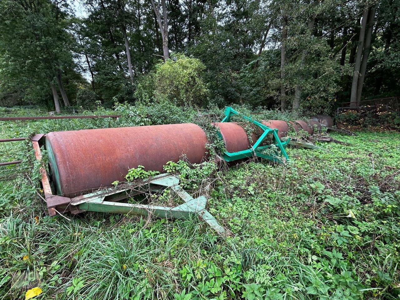 Walze Türe ait Fortschritt Wiesenwalze, Gebrauchtmaschine içinde Prenzlau (resim 1)