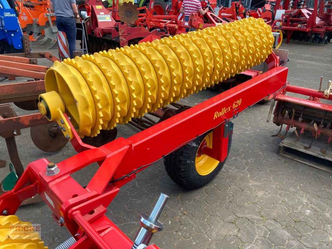 Walze van het type Väderstad Rollex 620, Neumaschine in Bockel - Gyhum (Foto 4)