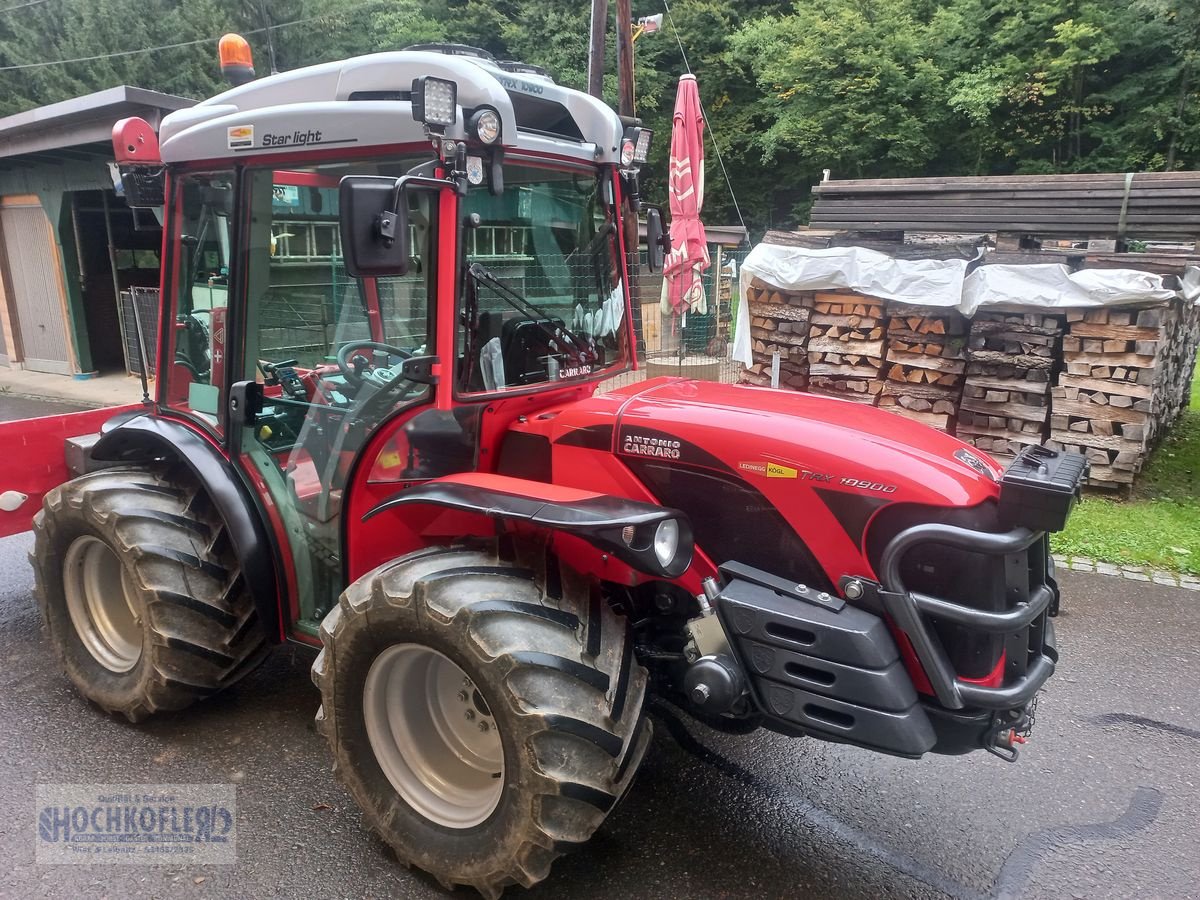 Weinbautraktor des Typs Antonio Carraro TRX 10900, Gebrauchtmaschine in Wies (Bild 1)