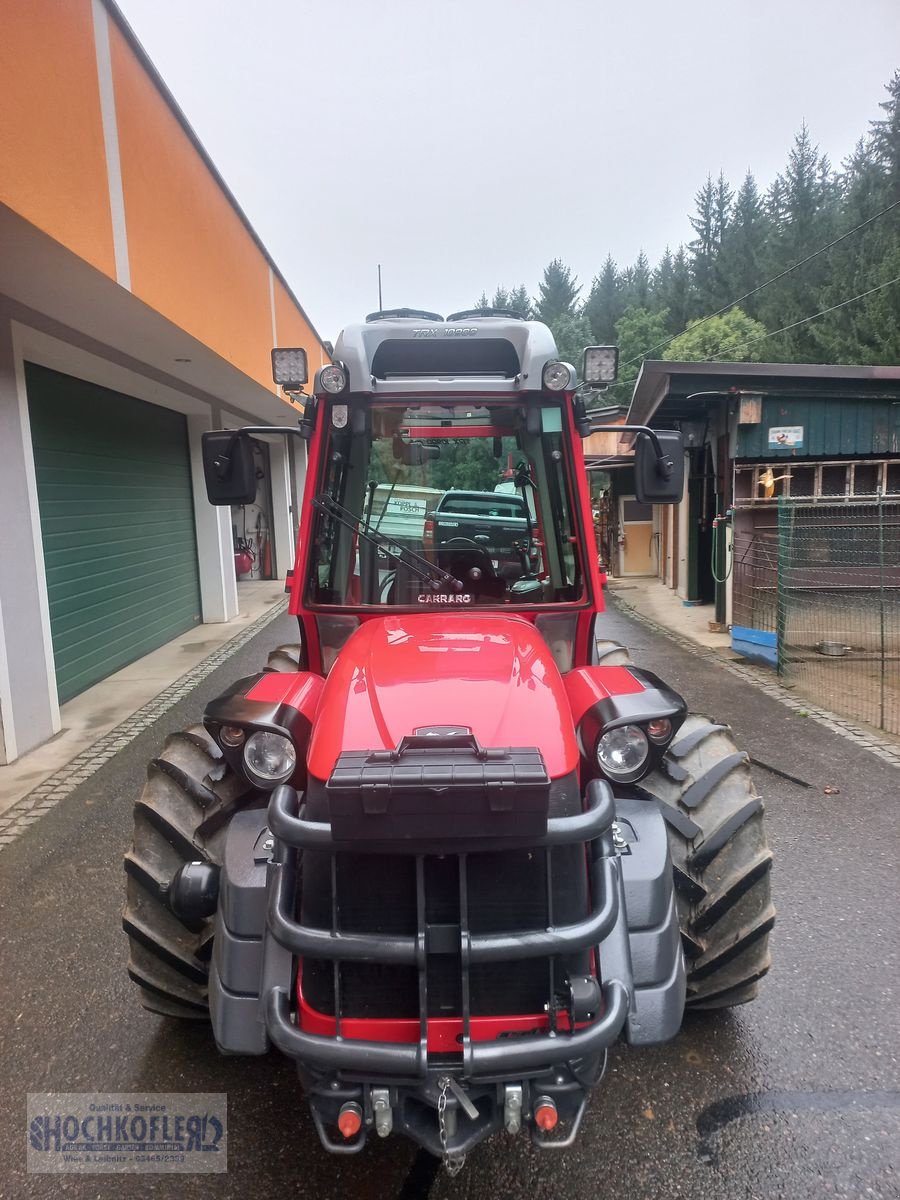 Weinbautraktor van het type Antonio Carraro TRX 10900, Gebrauchtmaschine in Wies (Foto 2)