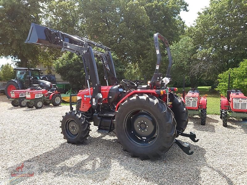 Weinbautraktor des Typs Branson 6225R, Neumaschine in Grischow (Bild 2)