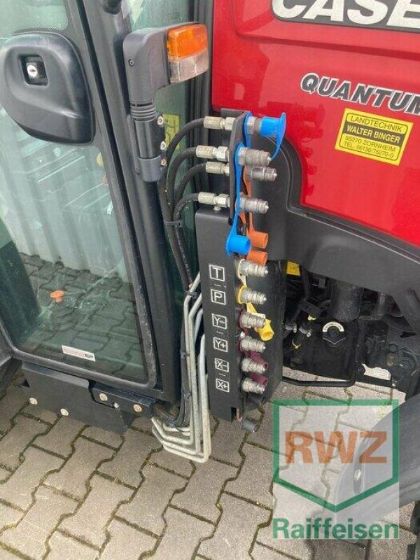 Weinbautraktor za tip Case IH Quantum 100V, Gebrauchtmaschine u Saulheim (Slika 9)