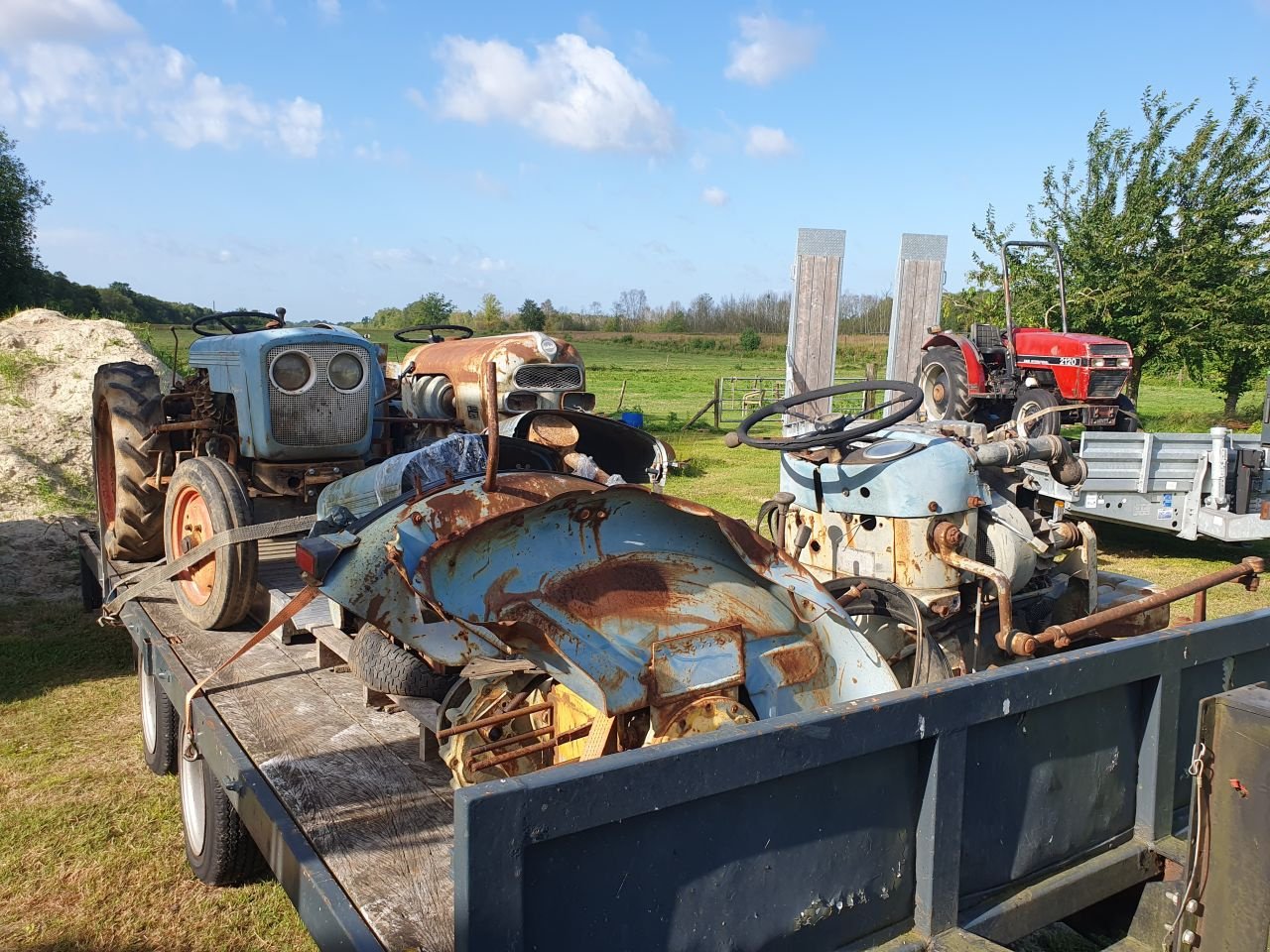 Weinbautraktor du type Eicher Smalspoor Loop/Sloop, Gebrauchtmaschine en Weiteveen (Photo 2)