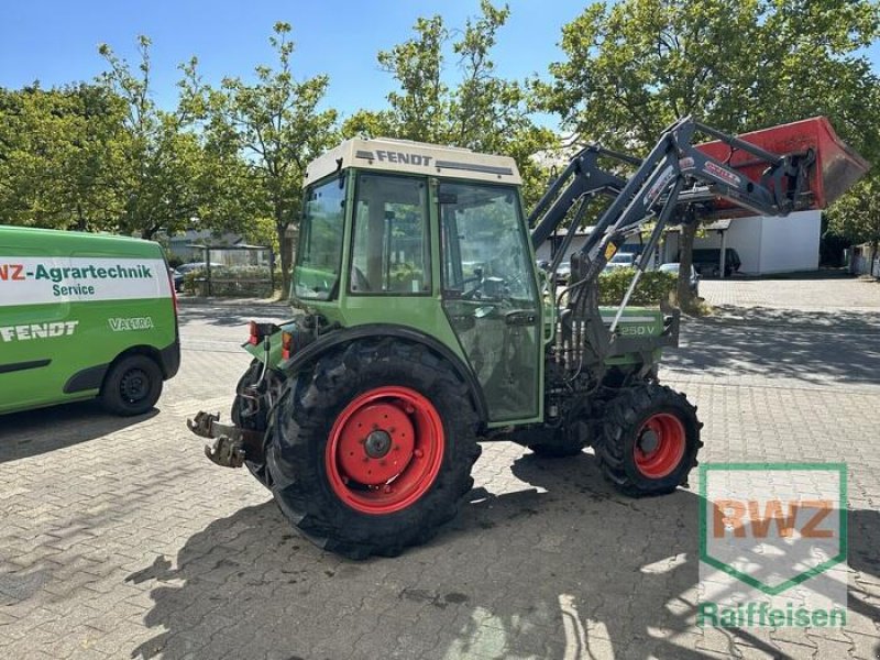 Weinbautraktor typu Fendt 250 v, Gebrauchtmaschine v Piesport (Obrázok 4)