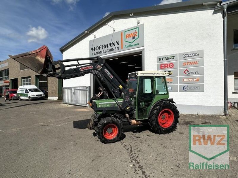 Weinbautraktor typu Fendt 250 v, Gebrauchtmaschine v Piesport (Obrázek 2)