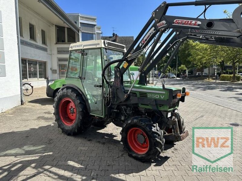 Weinbautraktor typu Fendt 250 v, Gebrauchtmaschine v Piesport (Obrázek 3)