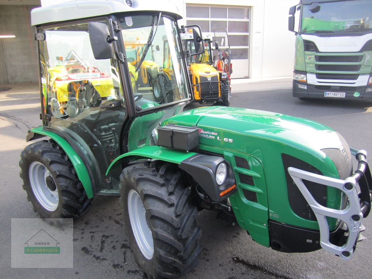 Weinbautraktor du type Ferrari COBRAM L65 RS Revers., Gebrauchtmaschine en Ehrenhausen (Photo 4)