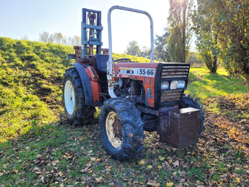 Weinbautraktor del tipo Fiat 55-66, Gebrauchtmaschine In Werkendam