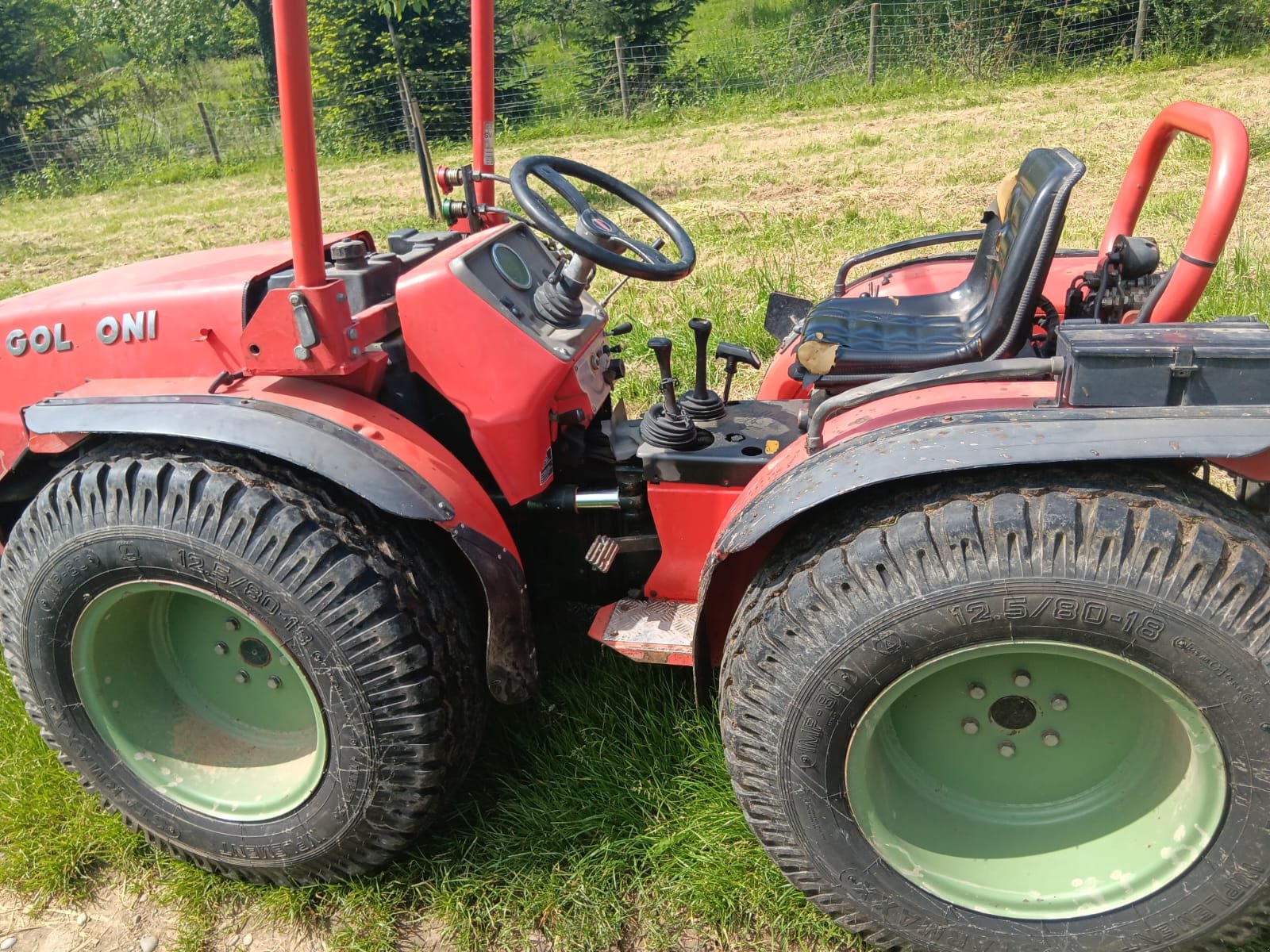 Weinbautraktor типа Goldoni Maxter 60 SN, Gebrauchtmaschine в Hohberg (Фотография 2)