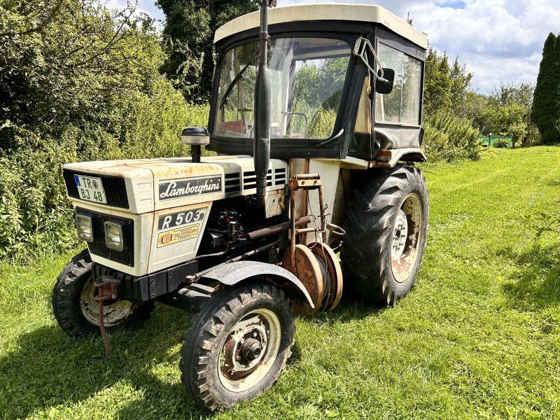 Weinbautraktor του τύπου Lamborghini R 503, Gebrauchtmaschine σε Klüsserath (Φωτογραφία 1)