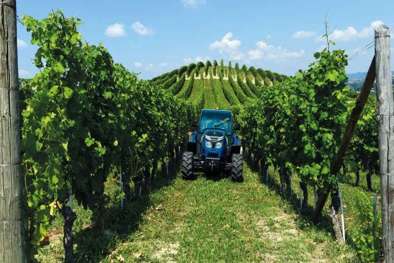 Weinbautraktor van het type Landini Rex 3.070 F, Neumaschine in Oberweidelham (Foto 1)