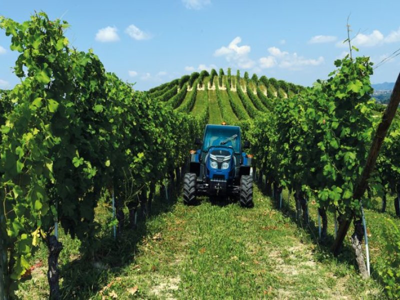 Weinbautraktor tipa Landini Rex 3.070 F, Neumaschine u Oberweidelham