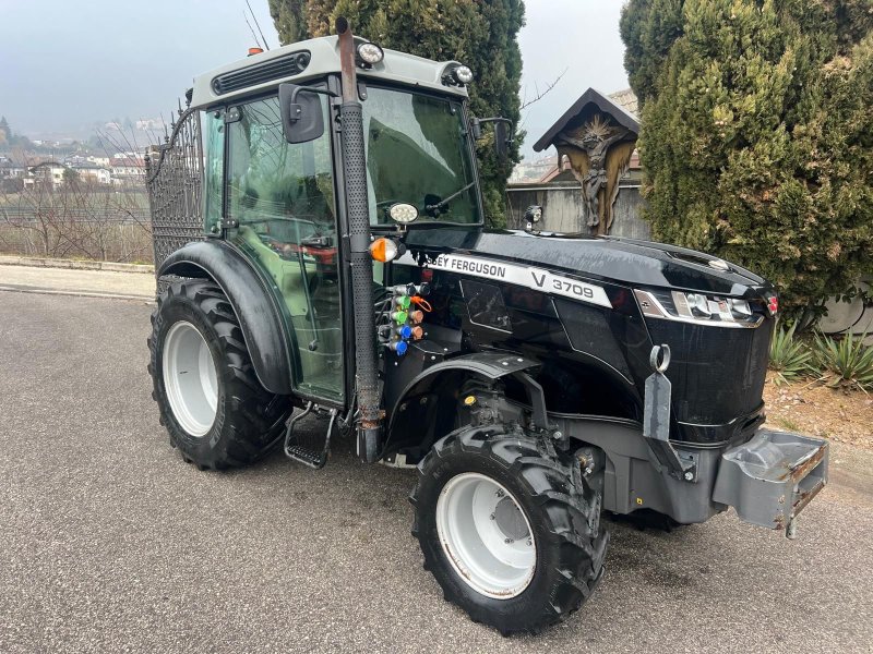 Weinbautraktor typu Massey Ferguson 3709 V - GB188, Gebrauchtmaschine v Eppan (BZ) (Obrázek 1)