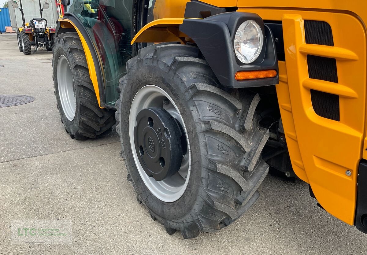 Weinbautraktor del tipo Pasquali EOS L65, Gebrauchtmaschine en Korneuburg (Imagen 14)