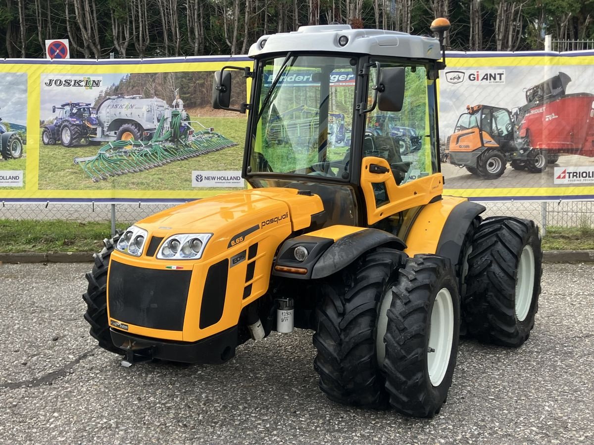 Weinbautraktor of the type Pasquali Eos V 6.65 MT, Gebrauchtmaschine in Villach (Picture 2)