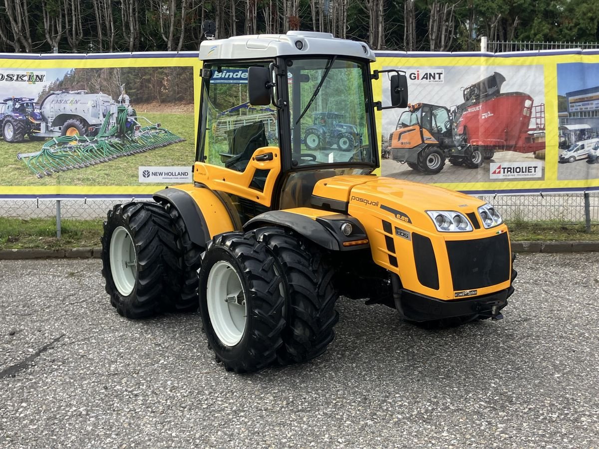 Weinbautraktor van het type Pasquali Eos V 6.65 MT, Gebrauchtmaschine in Villach (Foto 1)