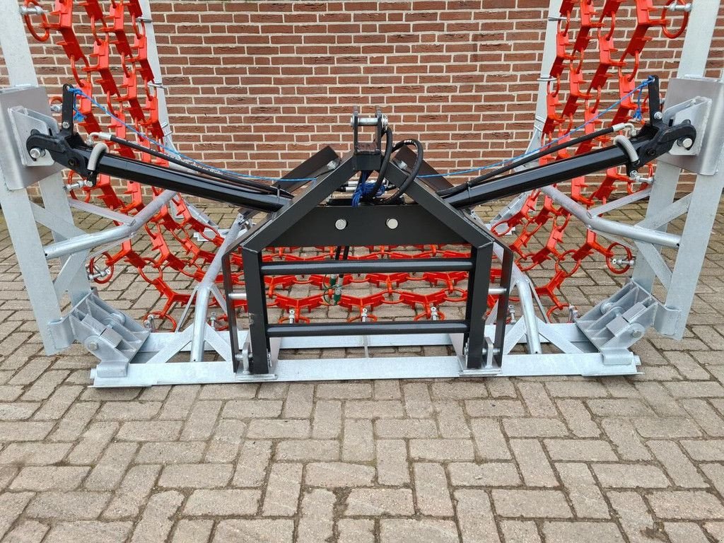 Wiesenegge a típus AGM weidesleep 6000mm, Neumaschine ekkor: Goudriaan (Kép 4)