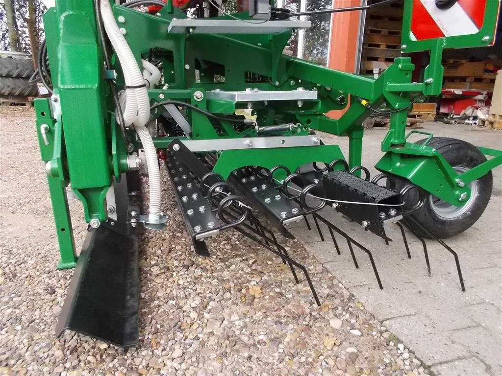 Wiesenegge del tipo Düvelsdorf Green Rake Expert 6m Frøsåkasse, Gebrauchtmaschine In Roslev (Immagine 3)