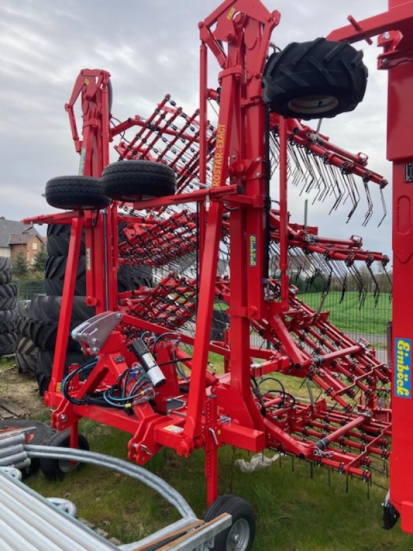 Wiesenegge typu Einböck AEROSTAR-FUSION 1200, Neumaschine v Gudensberg (Obrázek 1)