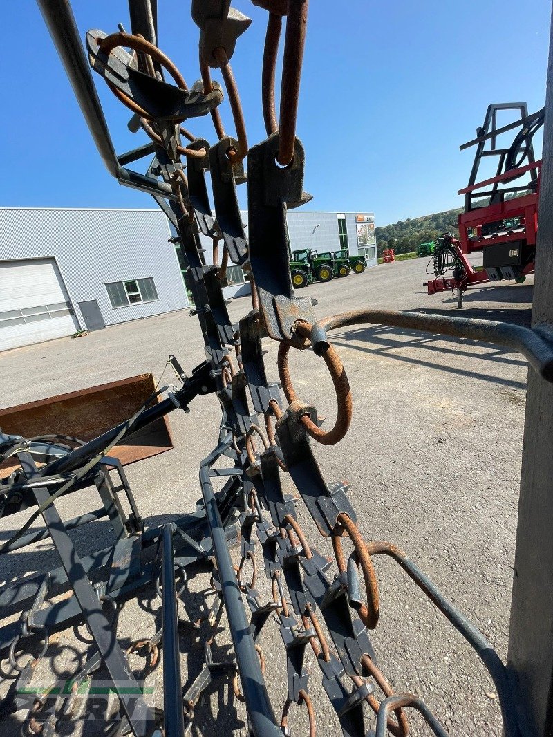 Wiesenegge Türe ait No Name Arbeitsbreite 6m, Gebrauchtmaschine içinde Schöntal-Westernhausen (resim 8)