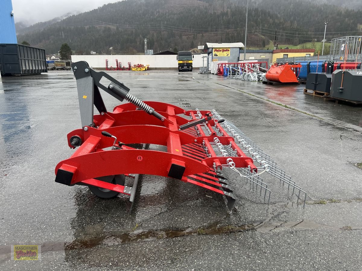 Wiesenegge van het type Sonstige Weidebelüfter 240, Neumaschine in Kötschach (Foto 3)