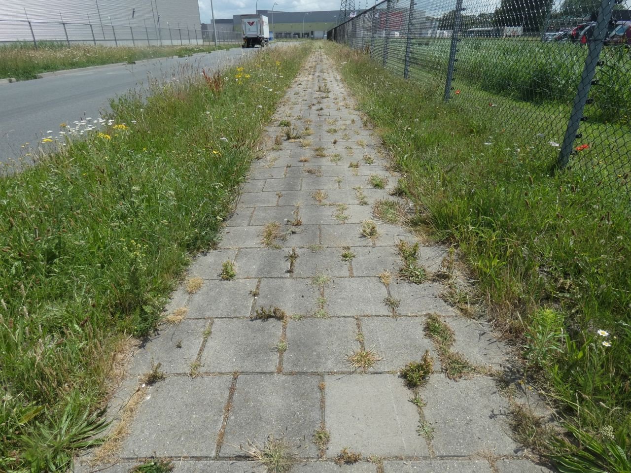 Wildkrautbürste del tipo Sonstige WEEDCONTROL WEEDCONTROL Air Combi Compact, Gebrauchtmaschine In Klarenbeek (Immagine 6)