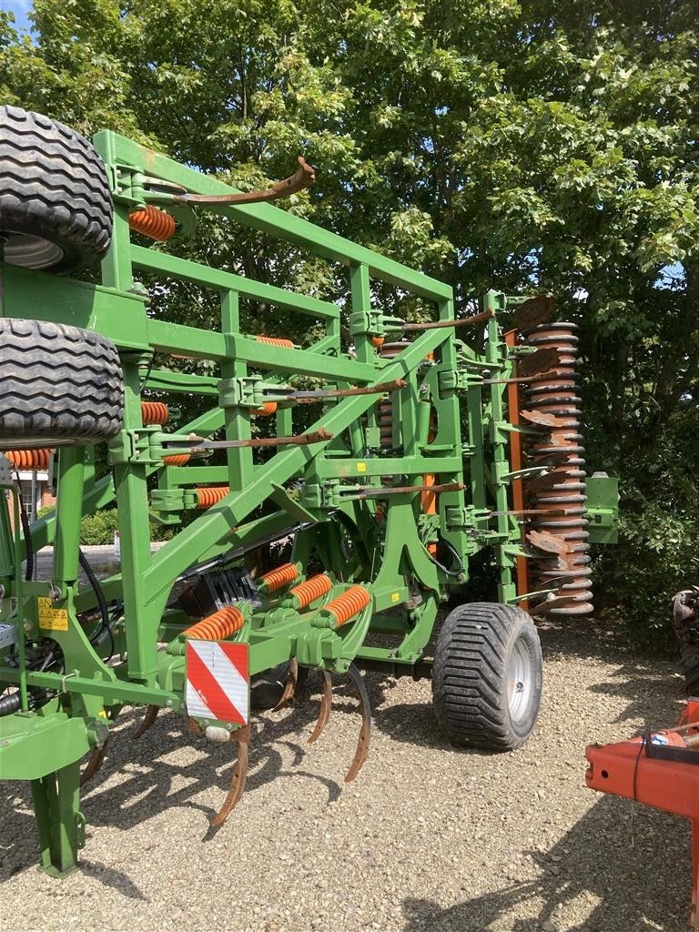 Zinkenrotor (Ackerbau) van het type Amazone Cenius 5003-2TX, Gebrauchtmaschine in Rødekro (Foto 1)