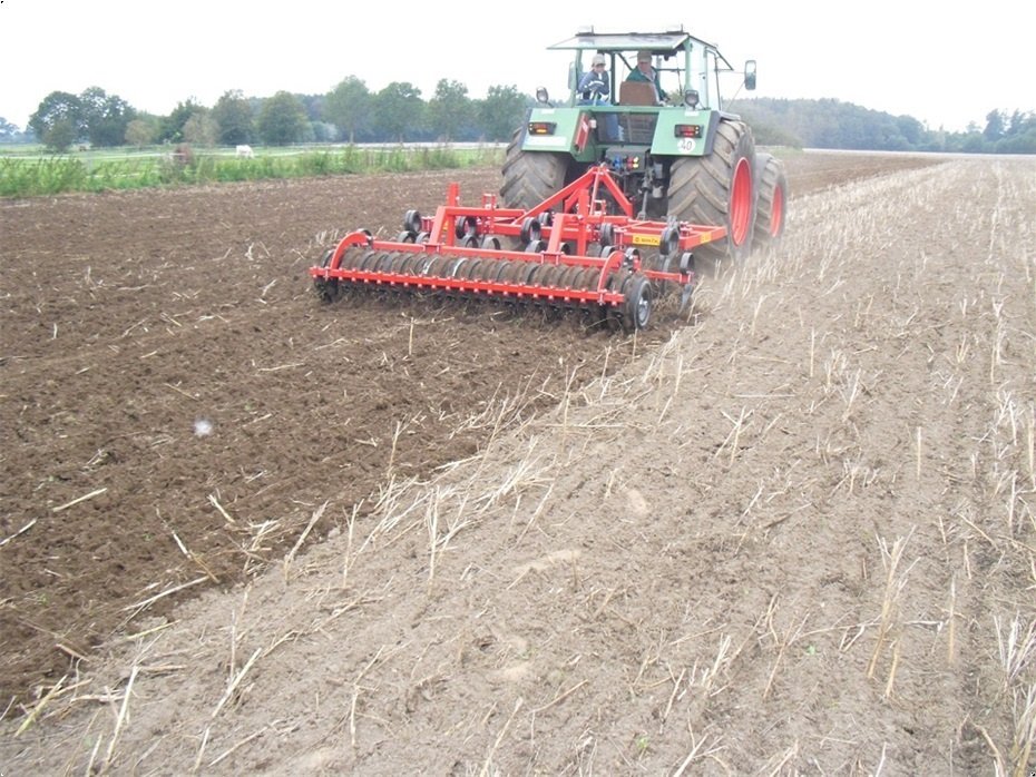 Zinkenrotor (Ackerbau) des Typs Brix SMARD Dybdeharve, Gebrauchtmaschine in Jelling (Bild 3)