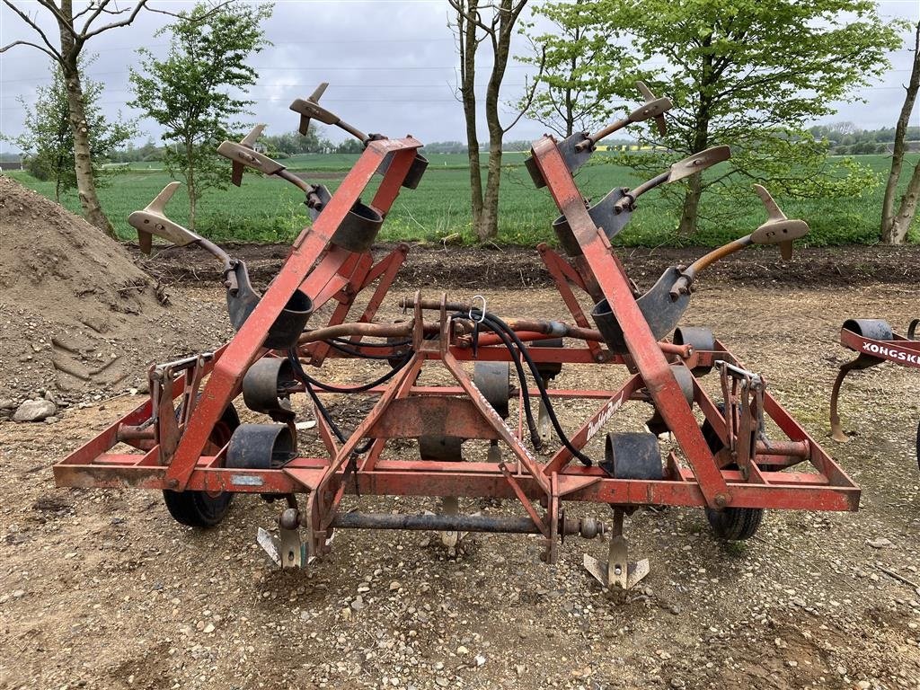 Zinkenrotor (Ackerbau) van het type Doublet Record 16 Tands Stubharve, Gebrauchtmaschine in Spøttrup (Foto 1)