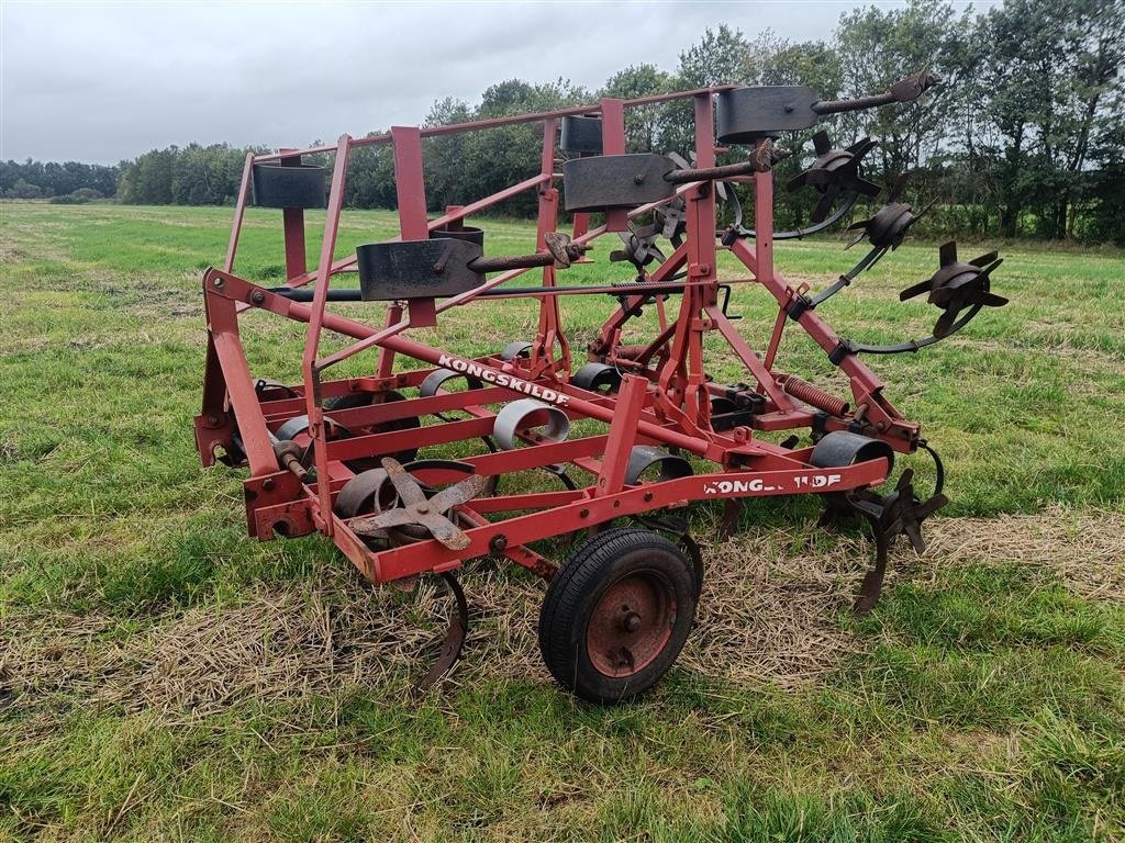 Zinkenrotor (Ackerbau) типа Kongskilde 16 Tands med knivskær, Gebrauchtmaschine в Egtved (Фотография 1)