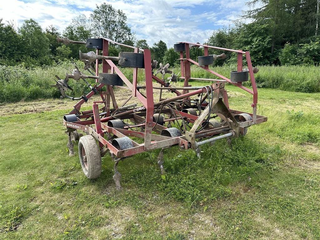 Zinkenrotor (Ackerbau) типа Kongskilde 19 tands, Gebrauchtmaschine в Roskilde (Фотография 1)