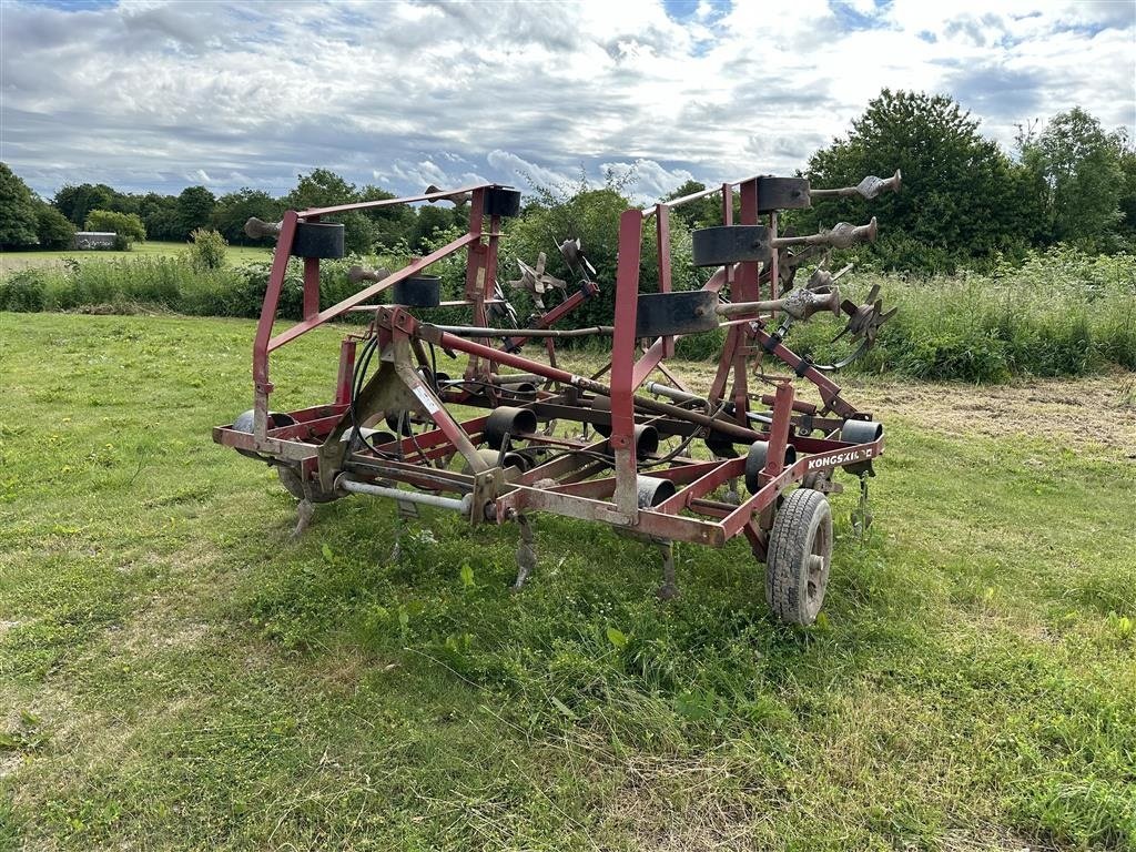 Zinkenrotor (Ackerbau) del tipo Kongskilde 19 tands, Gebrauchtmaschine en Roskilde (Imagen 2)