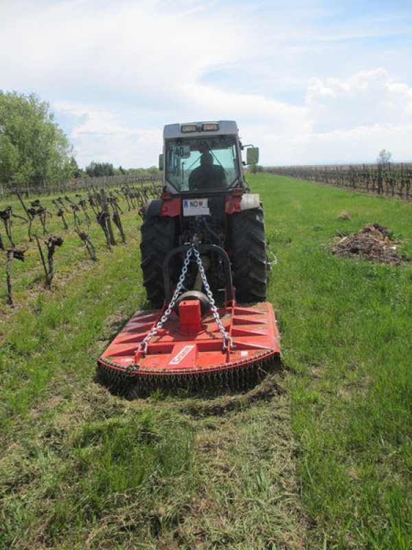 Sonstige Obsttechnik & Weinbautechnik typu Conpexim CPX Weingartenmulcher, Neumaschine w Apetlon (Zdjęcie 2)