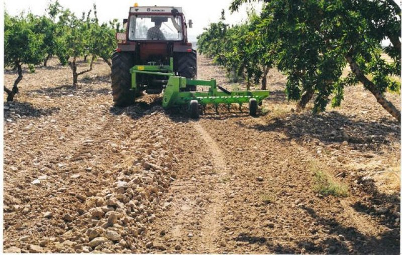 Sonstige Bodenbearbeitungsgeräte typu Conpexim Steinrechen 3 m---www.conpexim.at--NEU, Neumaschine v Apetlon (Obrázok 7)