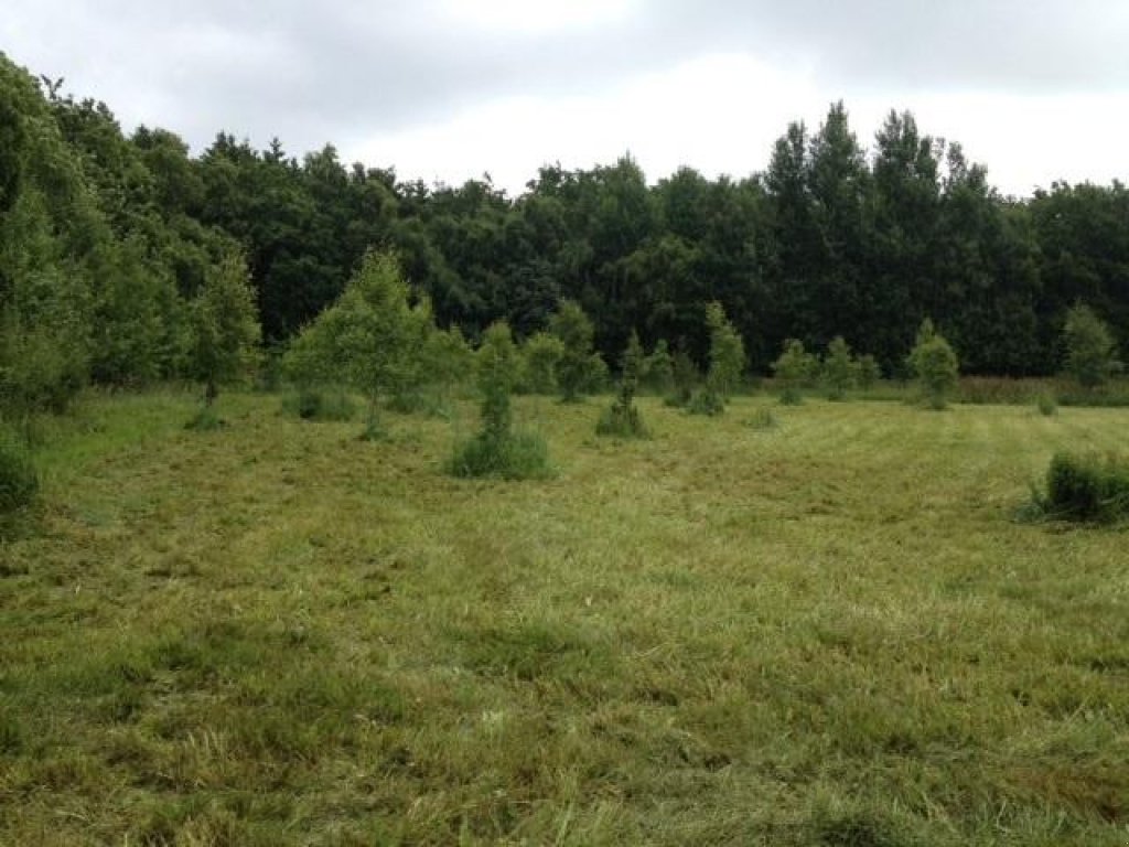 ATV & Quad du type Sonstige KUNZ Rough cut AMERIKANSK KVALITET, Gebrauchtmaschine en Holstebro (Photo 3)