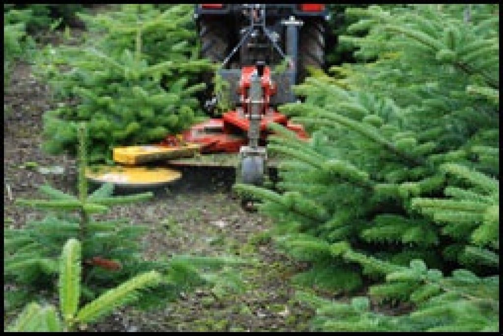 Sonstige Forsttechnik del tipo Fort & Pegoraro Rotorklipper med svingarme, Gebrauchtmaschine en Holstebro (Imagen 2)