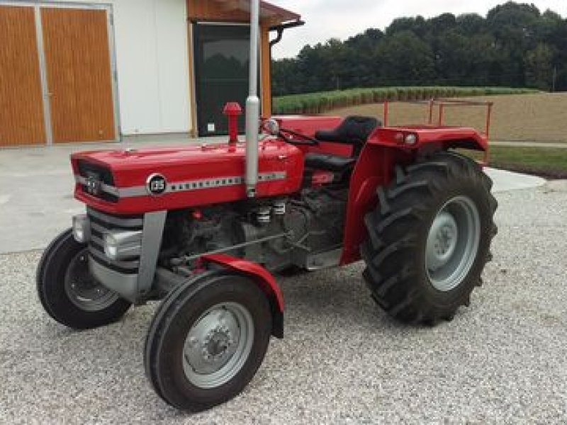 Massey Ferguson 135 MP Super Tractor - technikboerse.com