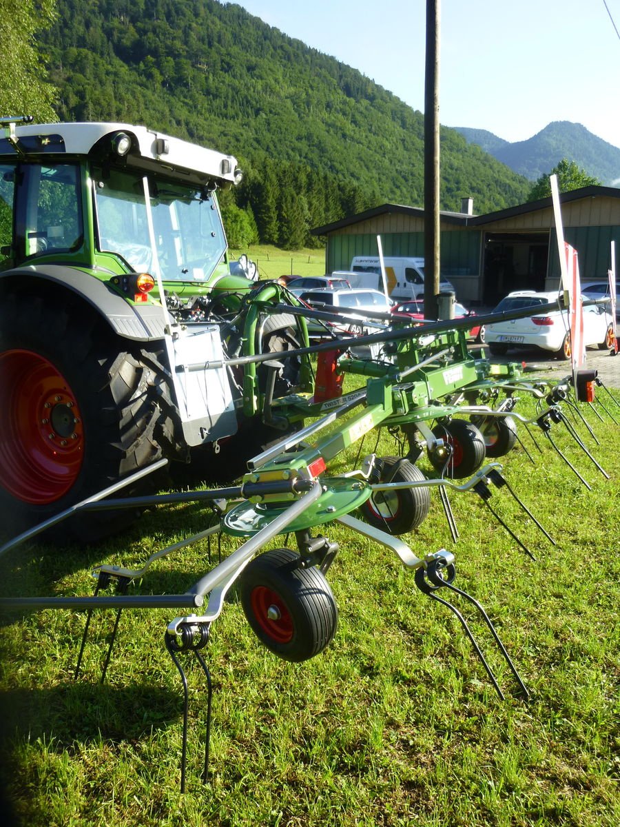 Kreiselheuer Türe ait Fendt Twister 5204 DN, Neumaschine içinde Ebensee (resim 6)