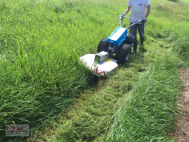 Motormäher del tipo Bertolini B 103 mit Cerruti Sichelmulcher, Neumaschine In Gnas (Immagine 7)