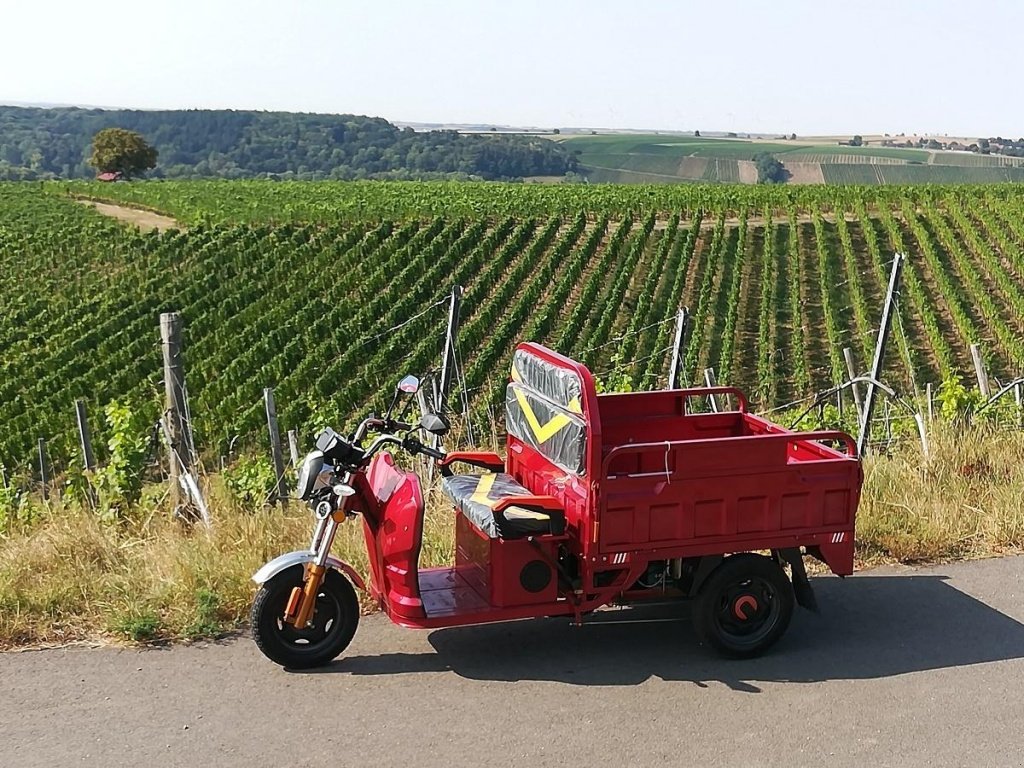 Gator del tipo Cargo Runner Elektro Lastendreirad, Neumaschine In Sommerach (Immagine 25)