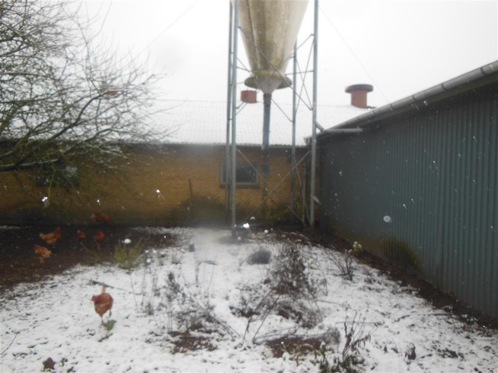 Silo del tipo Sonstige Glasfibersilo på høje ben, 20 m3, 12 ton, Gebrauchtmaschine In Egtved (Immagine 4)