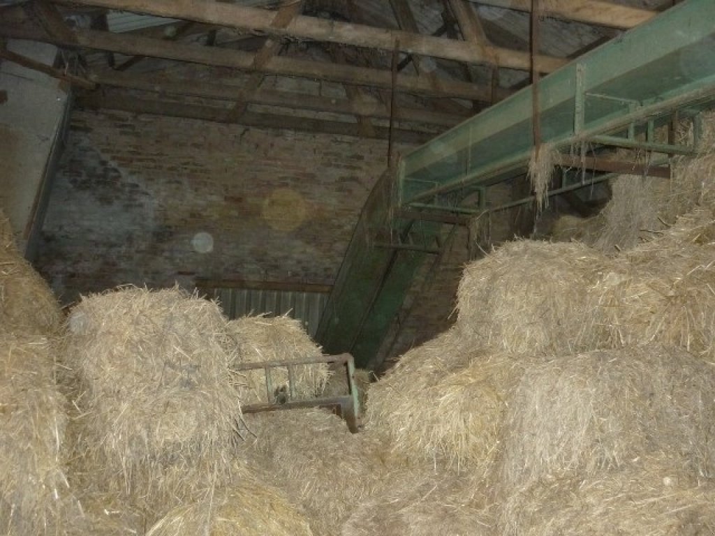 Lagertechnik del tipo Sonstige Halmbane 24m, Gebrauchtmaschine In Egtved (Immagine 2)