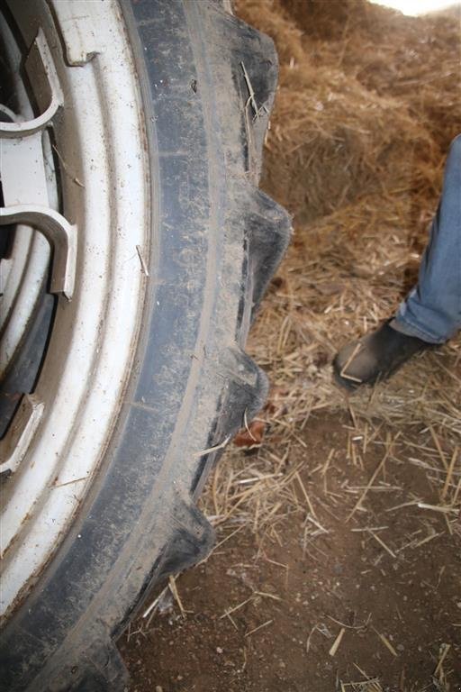 Pflegerad Türe ait Sonstige Ford 9.5x44 med 8 huls boring, Gebrauchtmaschine içinde Høng (resim 2)