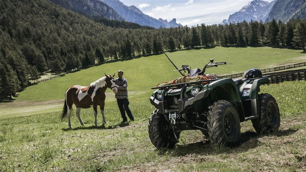 ATV & Quad del tipo Yamaha YFM450 Kodiak IRS, Gebrauchtmaschine en Havndal (Imagen 6)