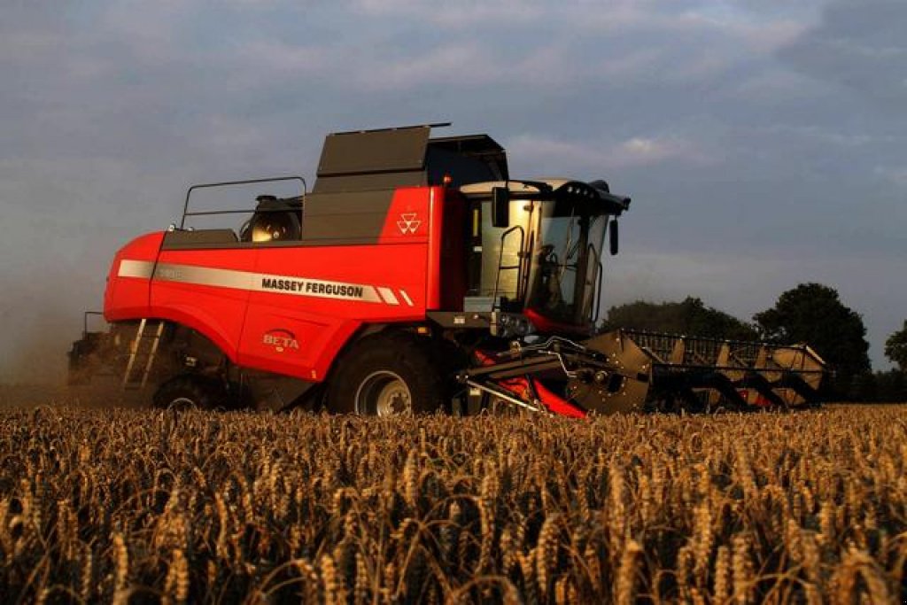 Oldtimer-Mähdrescher Türe ait Massey Ferguson Beta 7370,  içinde Луцьк (resim 2)