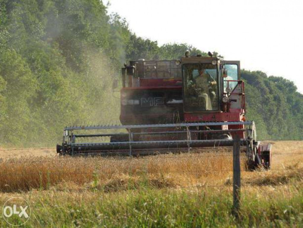 Oldtimer-Mähdrescher of the type Massey Ferguson 850, Neumaschine in Нова Одеса (Picture 1)