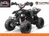 ATV & Quad Türe ait Sonstige Divers Kinderquad 50cc 4 takt, Neumaschine içinde Doetinchem (resim 10)