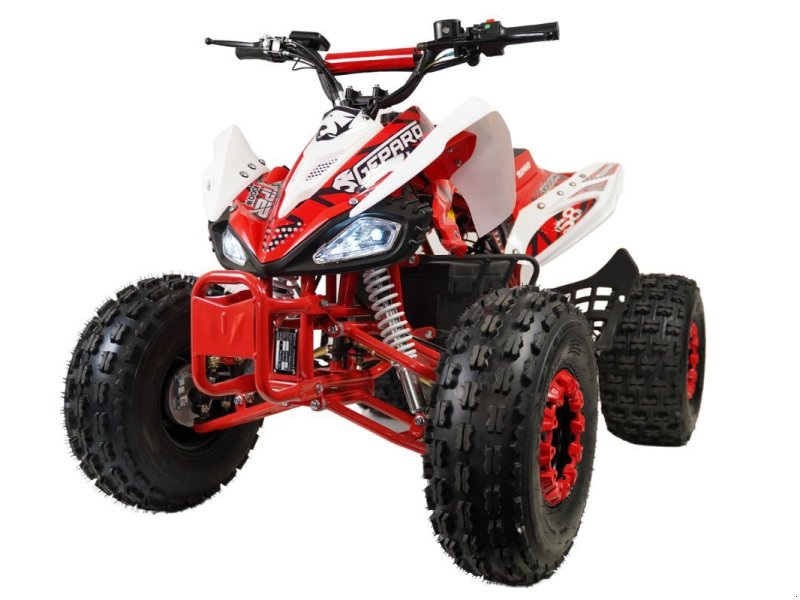 ATV & Quad типа Sonstige Divers Kinderquad 50cc 4 takt, Neumaschine в Doetinchem (Фотография 1)