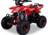 ATV & Quad του τύπου Sonstige Divers Kinderquad 125cc 4 takt, Neumaschine σε Doetinchem (Φωτογραφία 8)