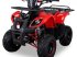 ATV & Quad του τύπου Sonstige Divers Kinderquad 125cc 4 takt, Neumaschine σε Doetinchem (Φωτογραφία 9)